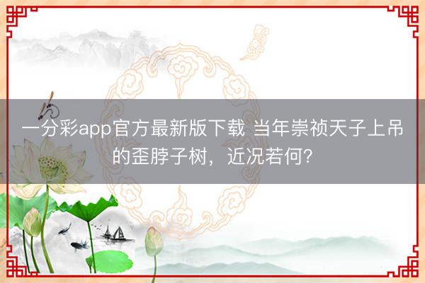 一分彩app官方最新版下载 当年崇祯天子上吊的歪脖子树，近况若何？